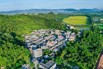 解锁珠海“网红”莲洲镇的出圈密码 五大行动进行时 珠海企业建设正酣