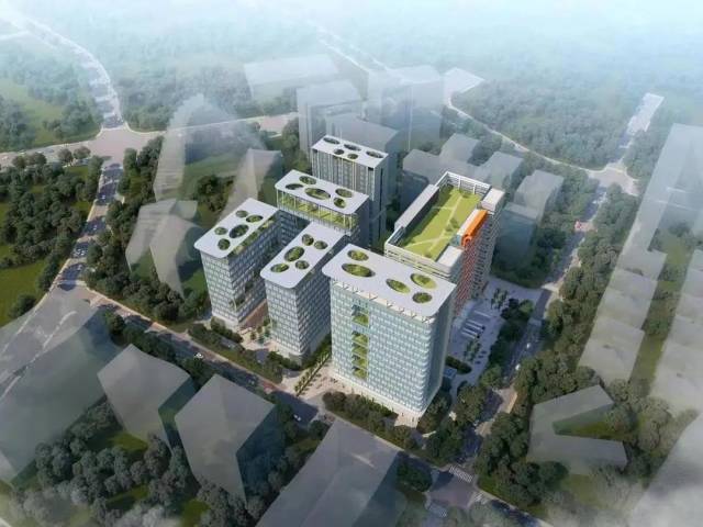 珠海奏响发展强音 开工揭牌潮涌，企业建设热火朝天